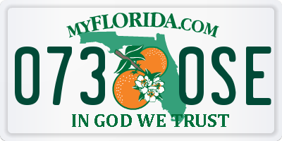 FL license plate 0730SE