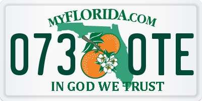FL license plate 0730TE