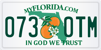FL license plate 0730TM