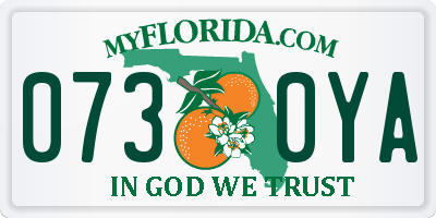FL license plate 0730YA
