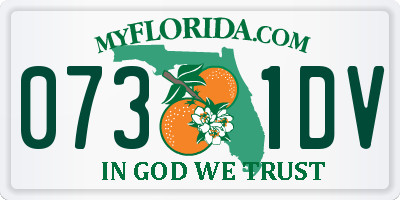 FL license plate 0731DV