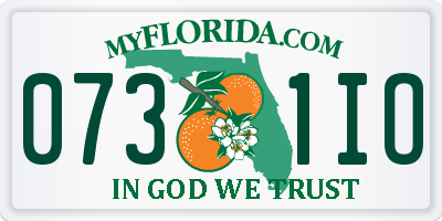 FL license plate 0731IO