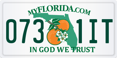FL license plate 0731IT