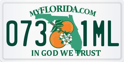 FL license plate 0731ML