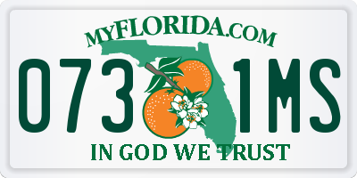 FL license plate 0731MS