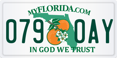 FL license plate 0790AY