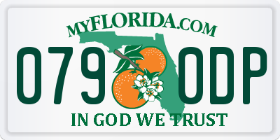 FL license plate 0790DP