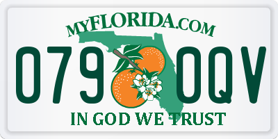 FL license plate 0790QV