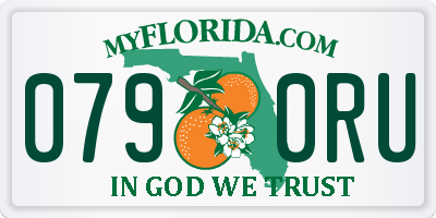 FL license plate 0790RU