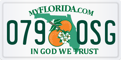 FL license plate 0790SG