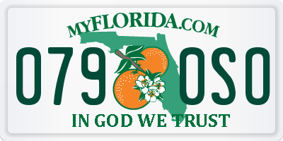 FL license plate 0790SO