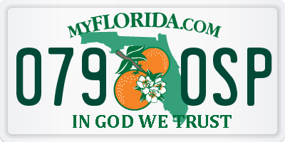 FL license plate 0790SP