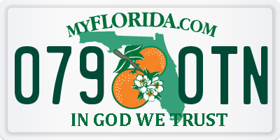 FL license plate 0790TN
