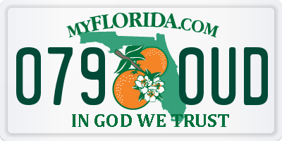 FL license plate 0790UD
