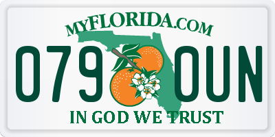 FL license plate 0790UN