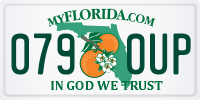 FL license plate 0790UP
