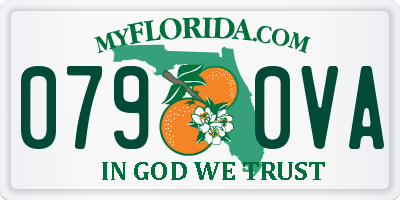 FL license plate 0790VA