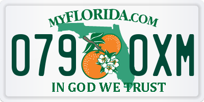 FL license plate 0790XM