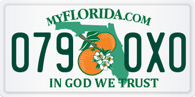 FL license plate 0790XO