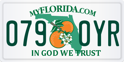 FL license plate 0790YR