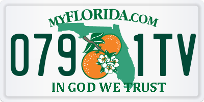 FL license plate 0791TV