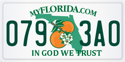 FL license plate 0793AO