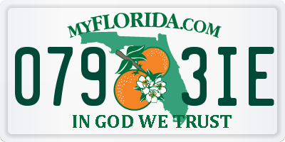 FL license plate 0793IE
