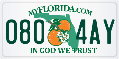 FL license plate 0804AY
