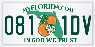 FL license plate 0811DV
