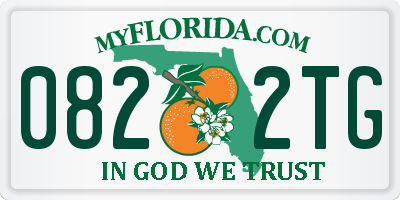 FL license plate 0822TG