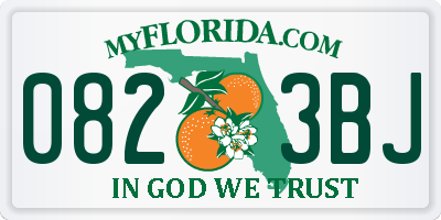 FL license plate 0823BJ