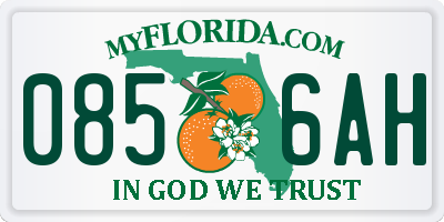 FL license plate 0856AH