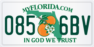 FL license plate 0856BV