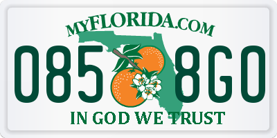 FL license plate 0858GO