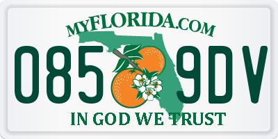 FL license plate 0859DV