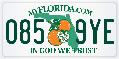 FL license plate 0859YE