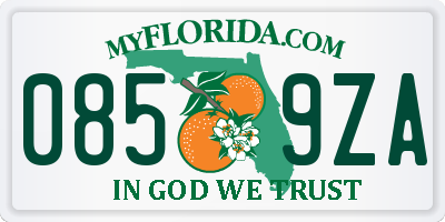 FL license plate 0859ZA