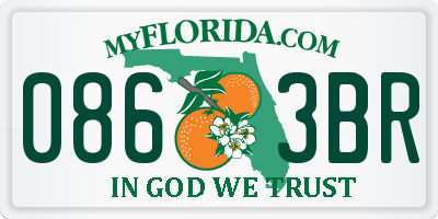 FL license plate 0863BR