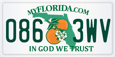 FL license plate 0863WV