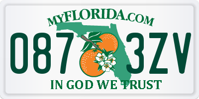 FL license plate 0873ZV