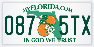 FL license plate 0875TX