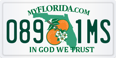 FL license plate 0891MS