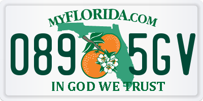 FL license plate 0895GV