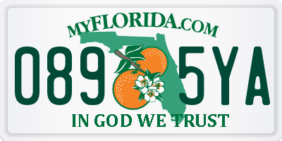 FL license plate 0895YA