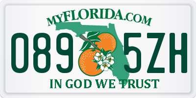 FL license plate 0895ZH
