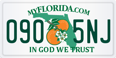 FL license plate 0905NJ