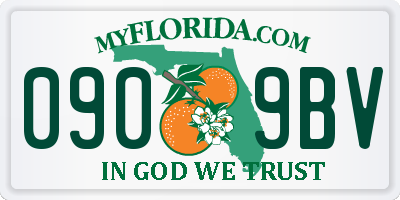 FL license plate 0909BV