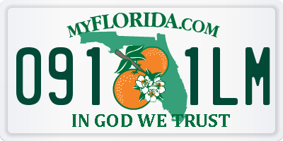 FL license plate 0911LM
