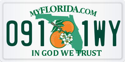 FL license plate 0911WY