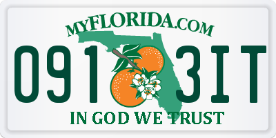 FL license plate 0913IT